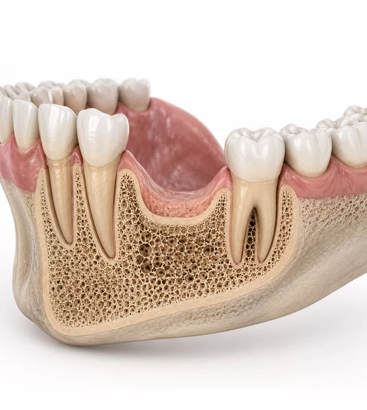 Bone-density
